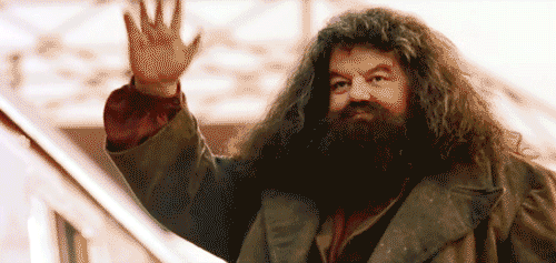 ClutteredSevereElephant-small.gif